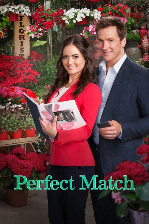 Perfect Matchのポスター