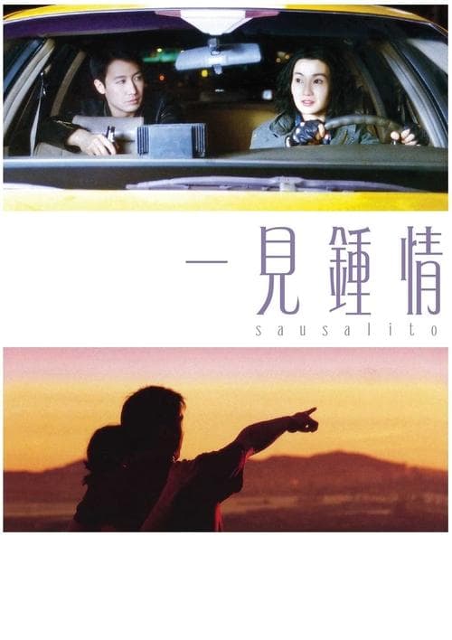 一見鍾情のポスター
