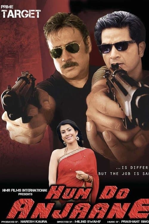 Hum Do Anjaaneのポスター