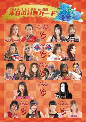 Sendai Girls Joshi Puroresu Big Show 2018 In Niigataのポスター