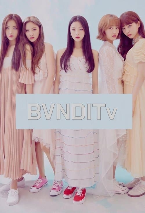BVNDITvのポスター
