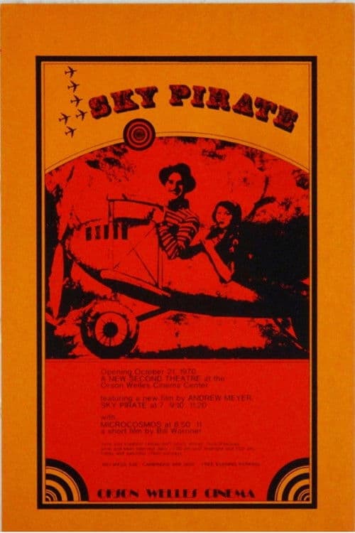 The Sky Pirateのポスター