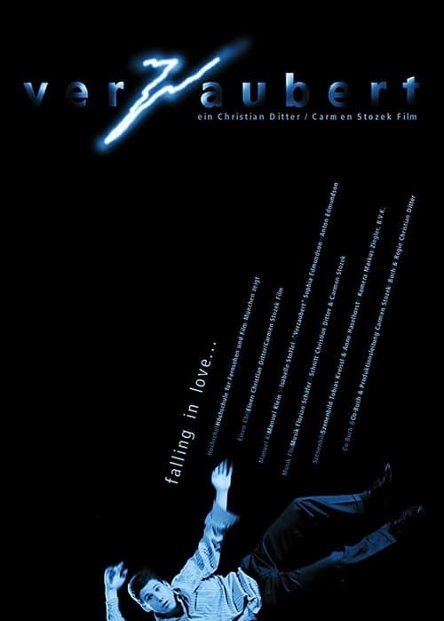 Verzaubertのポスター