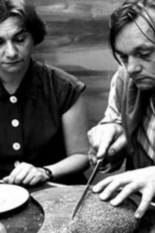 Schijnselのポスター