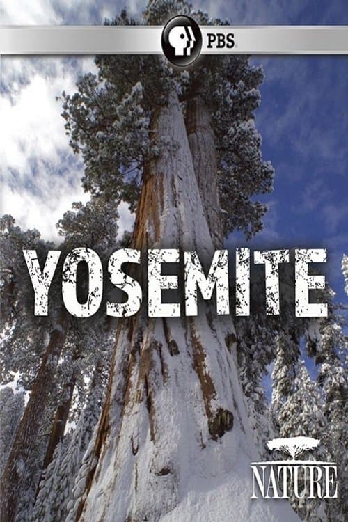 Nature: Yosemiteのポスター
