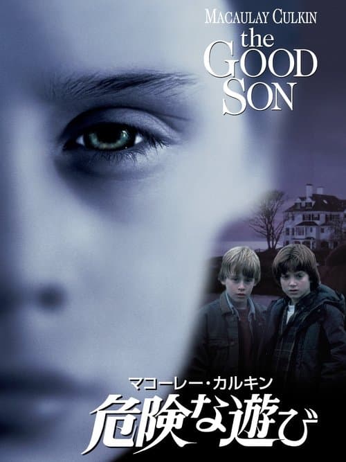危険な遊びのポスター