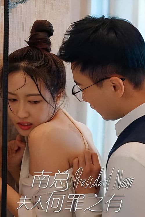 南总，夫人何罪之有のポスター