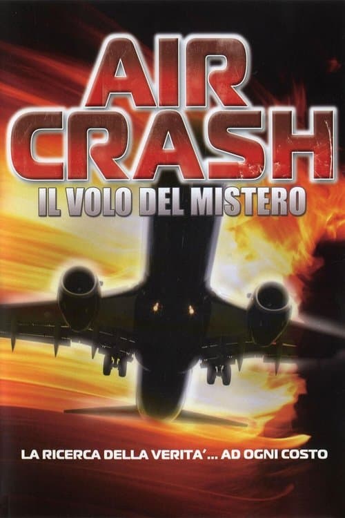 NTSB: The Crash of Flight 323のポスター