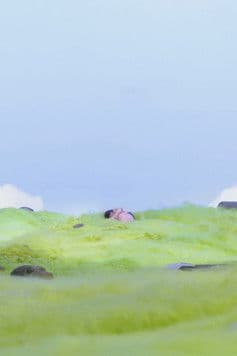 O the Grass Was Warm!のポスター