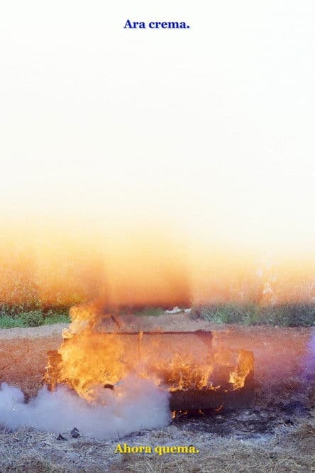 Ara cremaのポスター