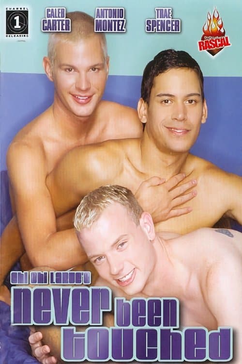 Never Been Touchedのポスター