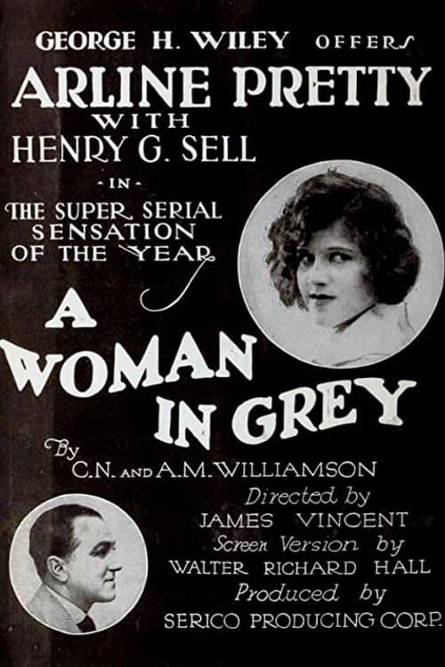 A Woman in Greyのポスター