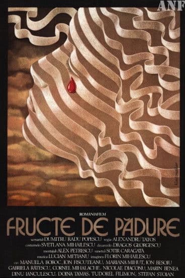 Fructe de pădureのポスター