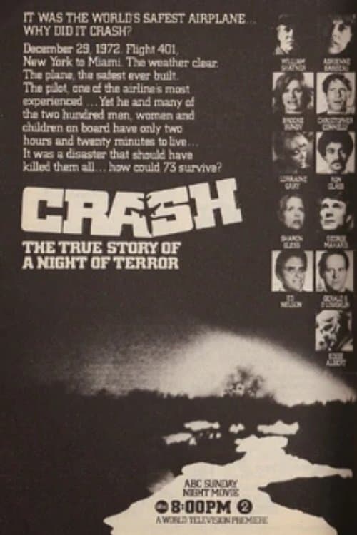 The Crash of Flight 401のポスター