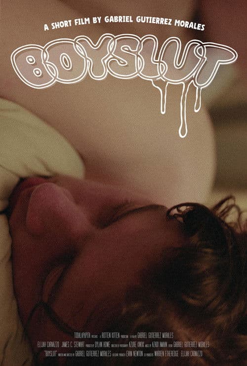 Boyslutのポスター