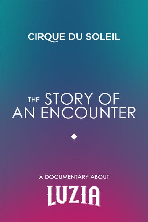 The Story Of An Encounterのポスター