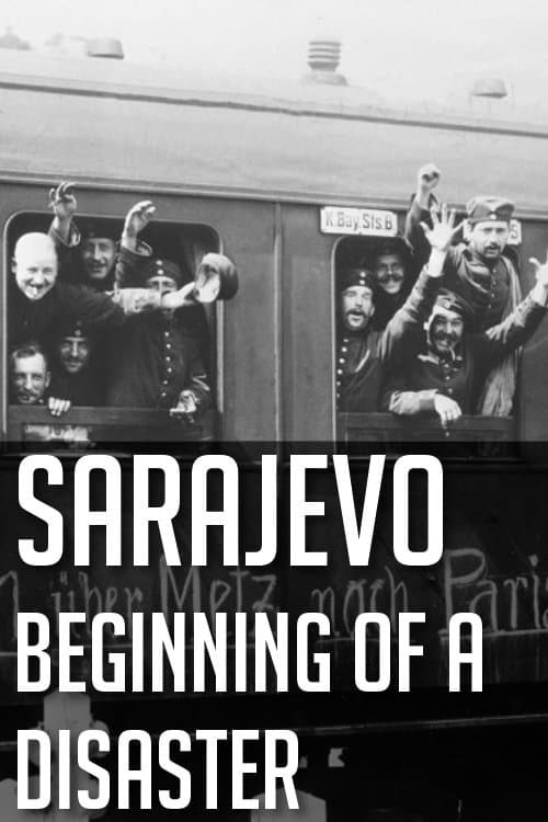 Sarajevo: Der Weg in die Katastropheのポスター