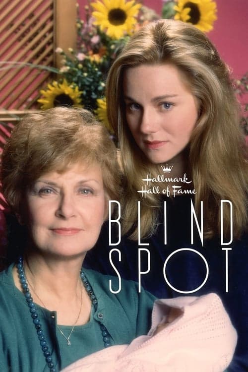 Blind Spotのポスター