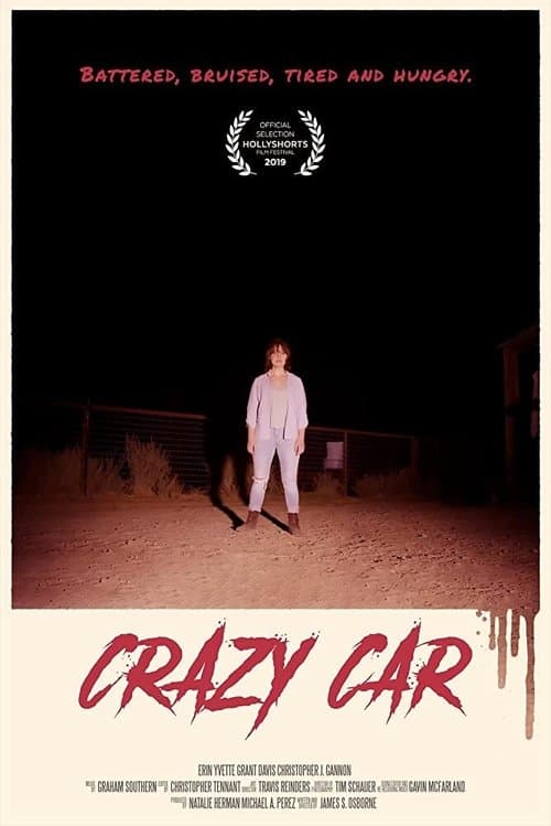 Crazy Carのポスター