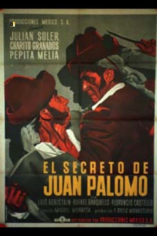 El secreto de Juan Palomoのポスター