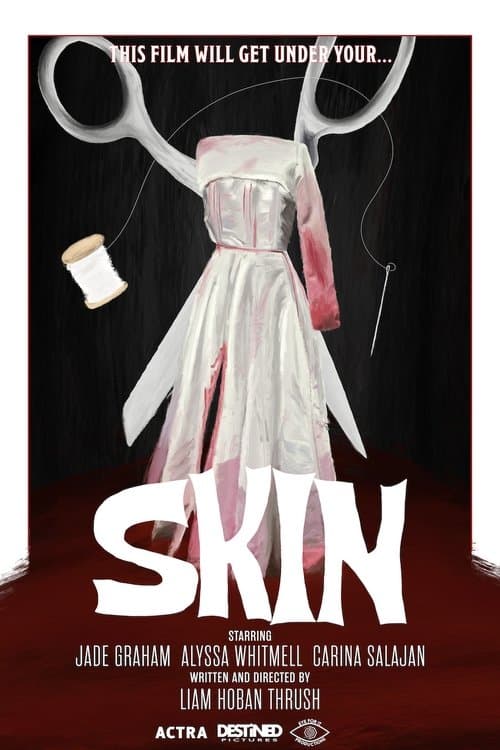 Skinのポスター