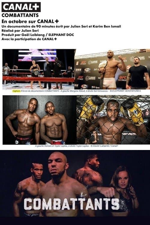 Combattantsのポスター