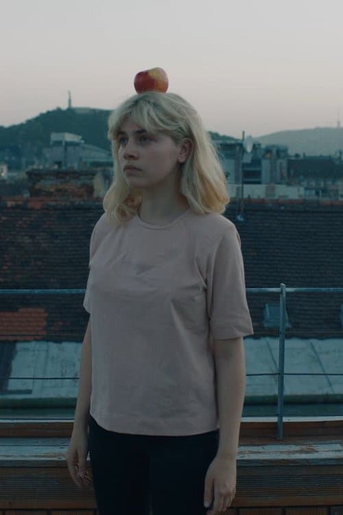 Az elveszíthető dolgok szereteteのポスター