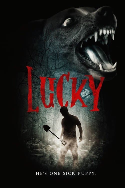 Luckyのポスター