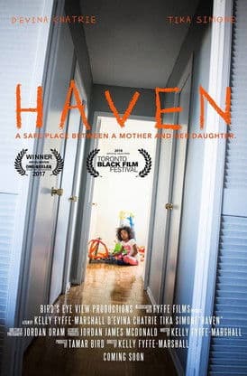 Havenのポスター