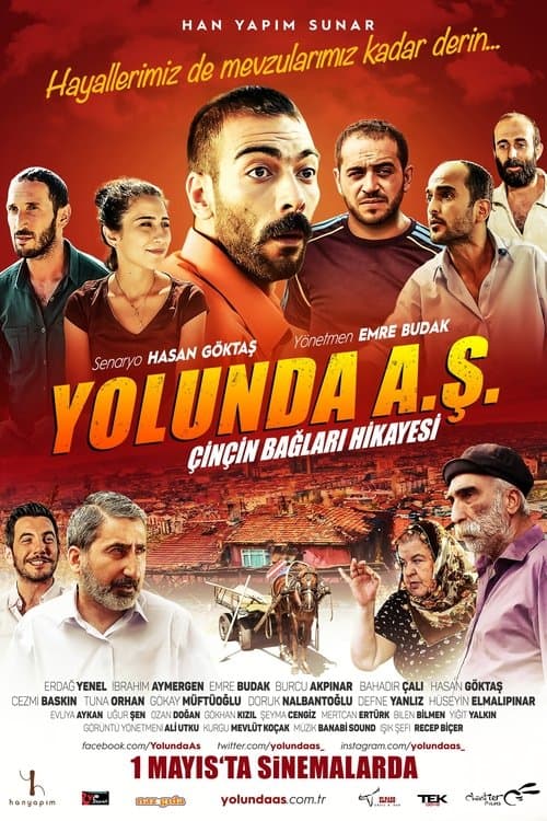 Yolunda A.Ş. Çinçin Bağları Hikayesiのポスター