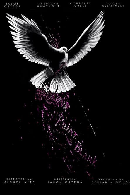 Love Point Blankのポスター