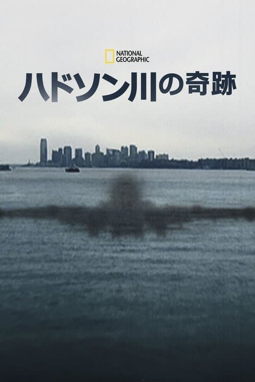 ハドソン川の奇跡のポスター