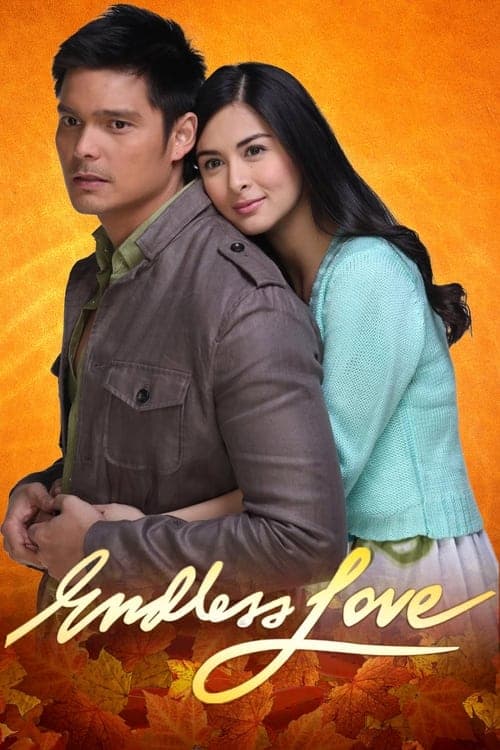 Endless Loveのポスター