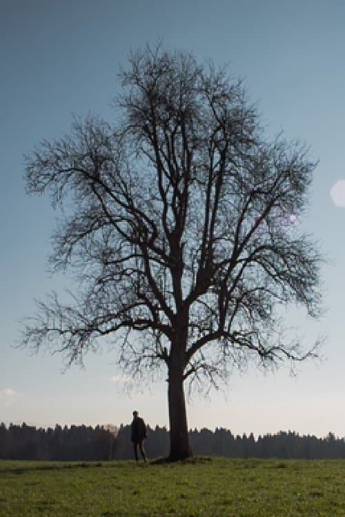 Zunajのポスター