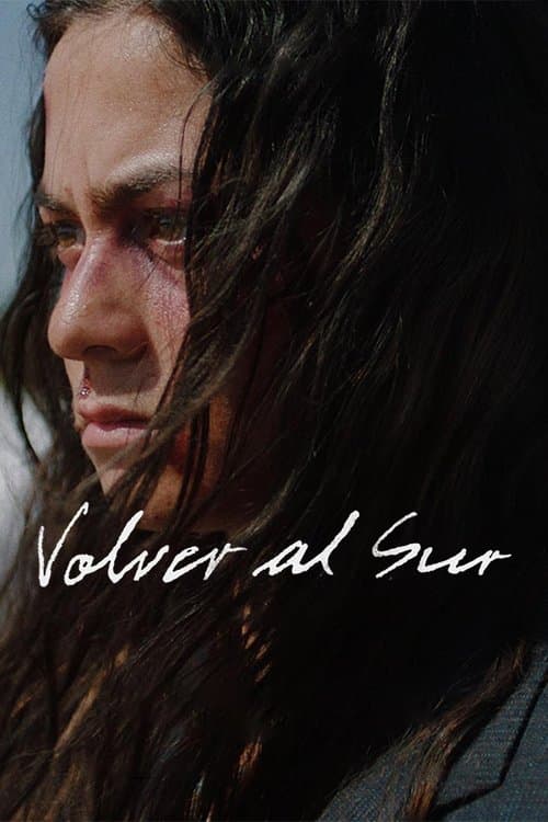 Volver al Surのポスター