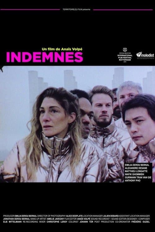 Indemnesのポスター
