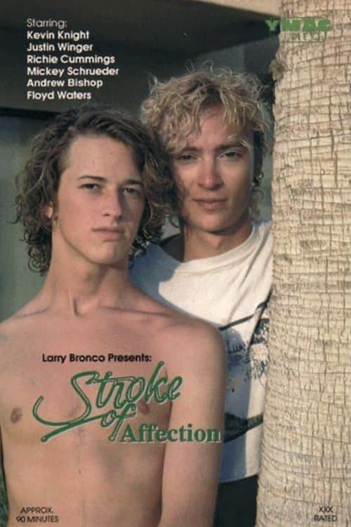 Stroke of Affectionのポスター