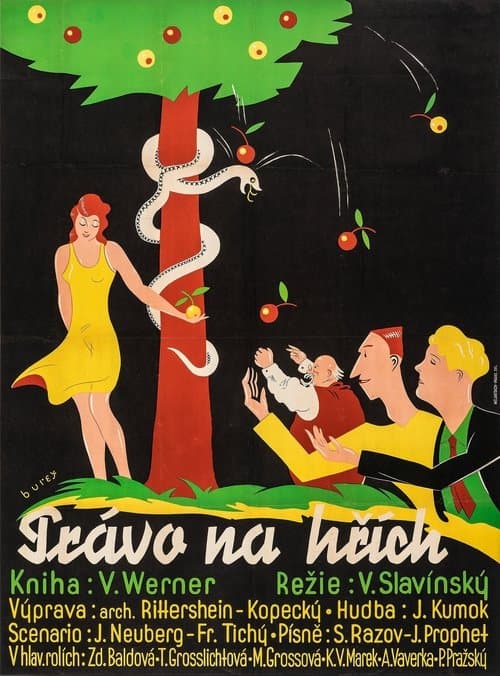 Právo na hříchのポスター