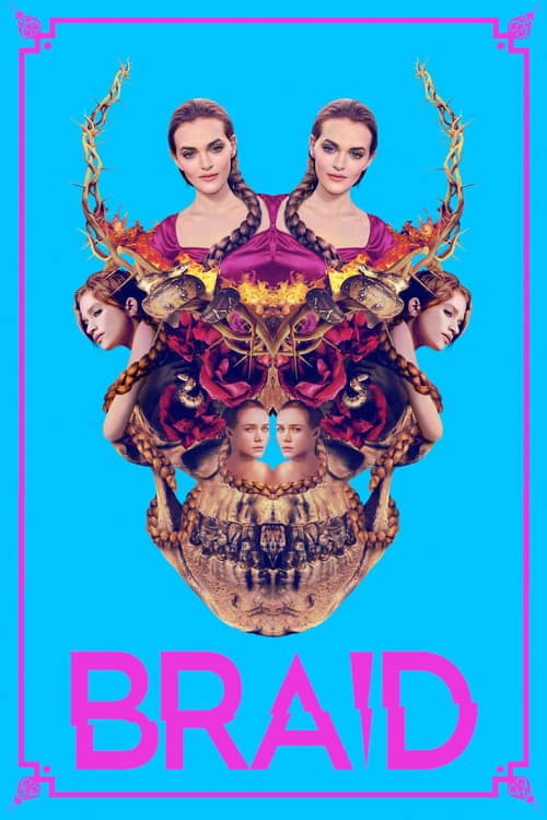 Braidのポスター