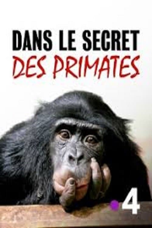Dans le secret des primatesのポスター