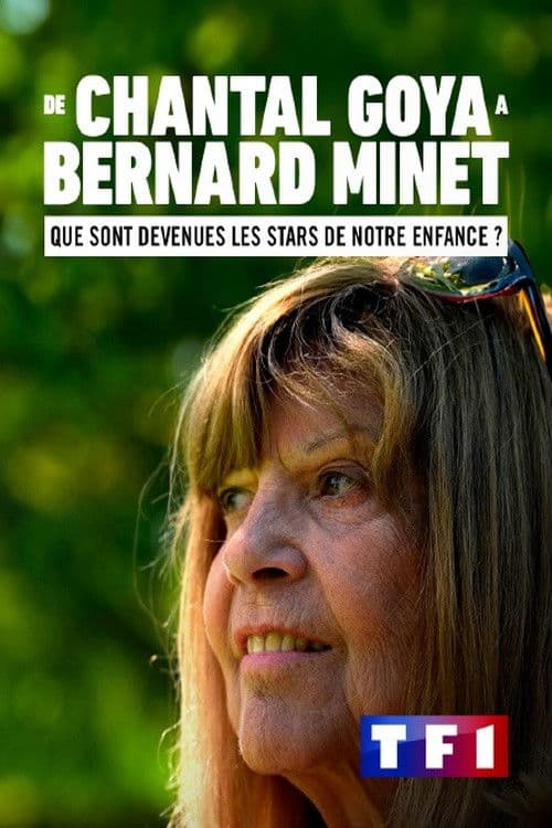 De Chantal Goya à Bernard Minet : Que sont devenues les stars de notre enfance ?のポスター