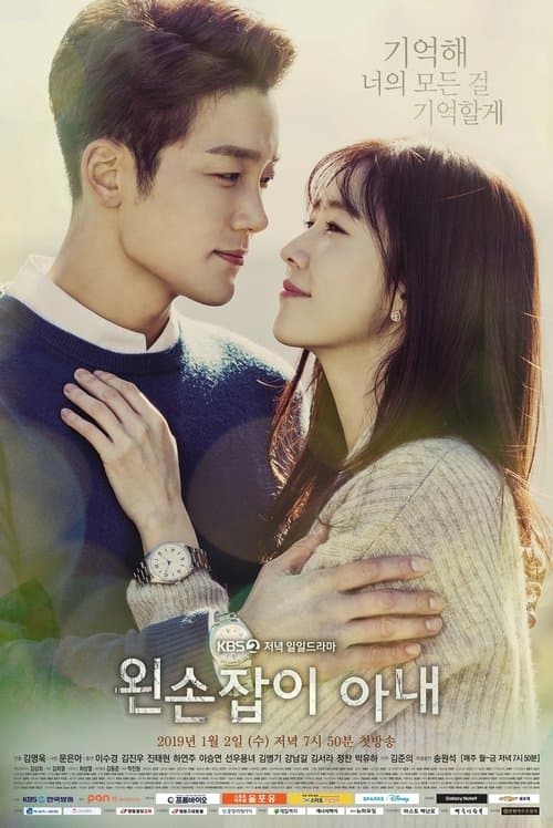왼손잡이 아내のポスター