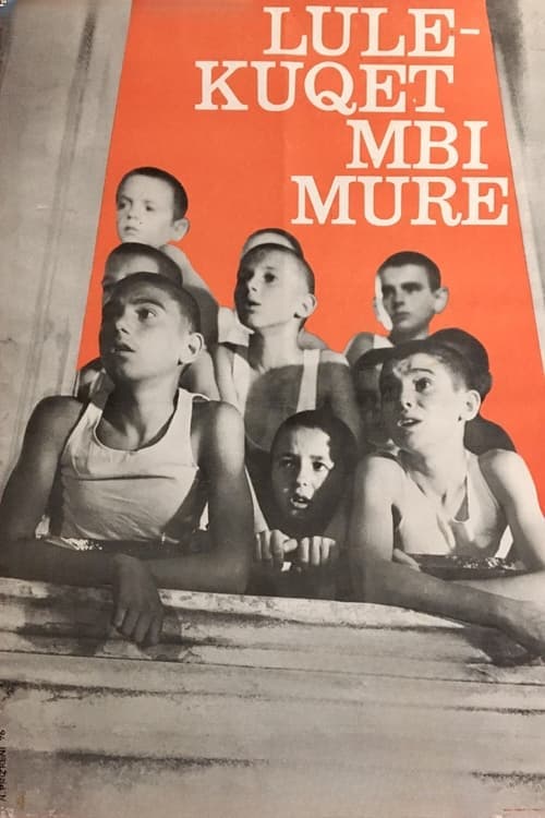 Lulëkuqet mbi mureのポスター