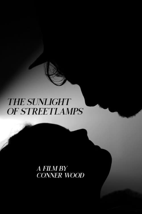 The Sunlight of Streetlampsのポスター