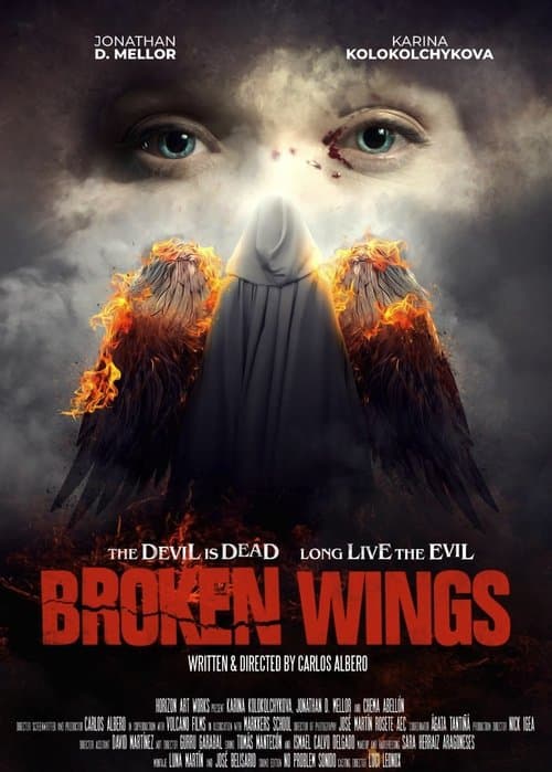 Broken Wingsのポスター