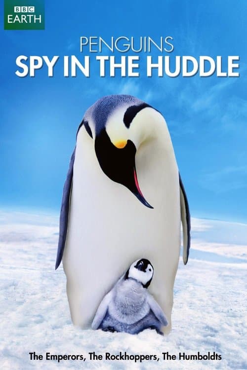 Penguins: Spy in the Huddleのポスター