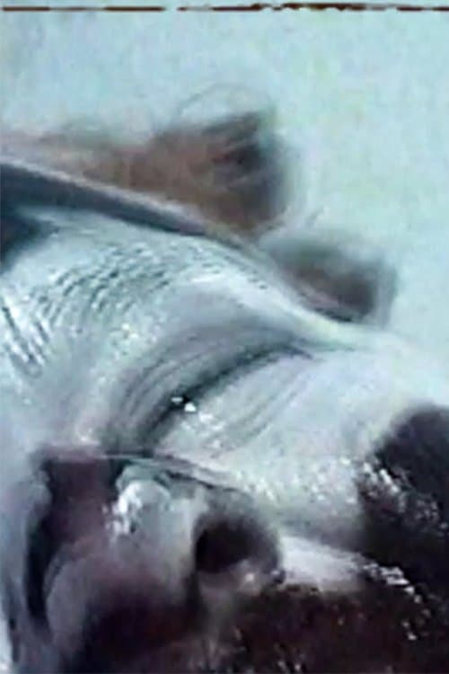 FAM-ILLIのポスター