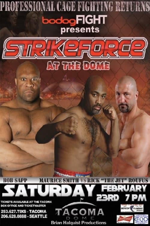 Strikeforce: At the Domeのポスター