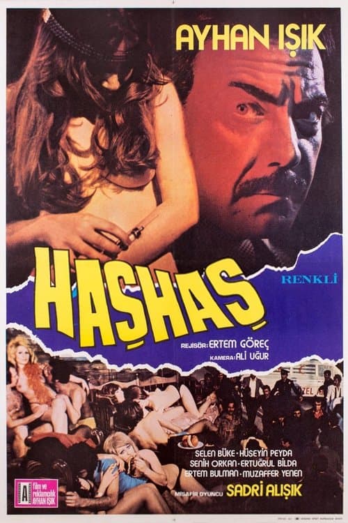 Haşhaşのポスター