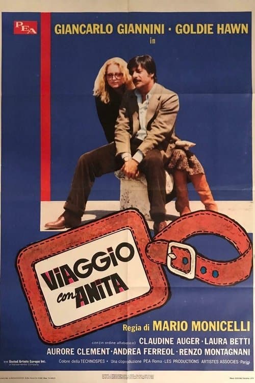 Viaggio con Anitaのポスター
